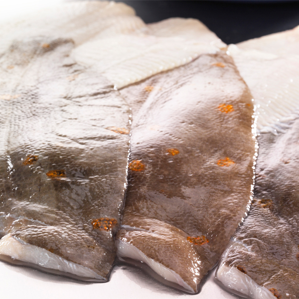 IQF PLAICE FILLETS (8/10oz) 226-283g  4.54kg