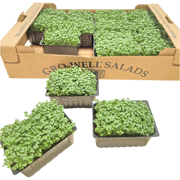 FRESH GARDEN CRESS BOX 9x60gm