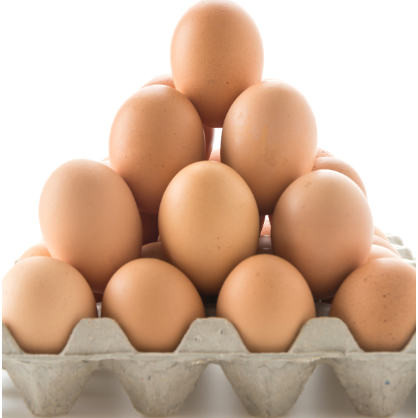 EUROPEAN MEDIUM EGGS (BOX)  30x12