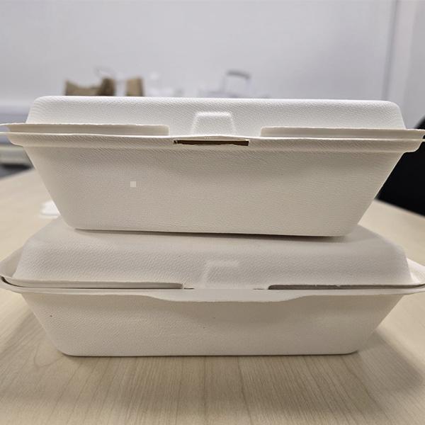 FP6 CLAMSHELL BAGASSE 6"X6" BOXES 4x125