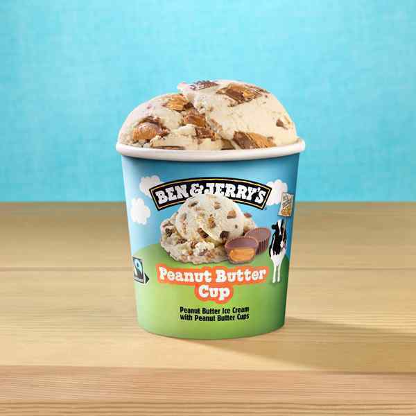 BEN & JERRY'S PEANUT BUTTER CUP  8x465ml