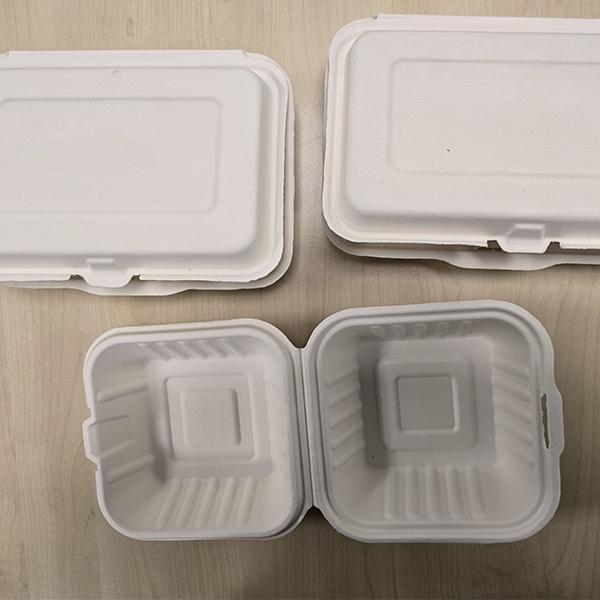 TT10 CLAMSHELL BAGASSE 9"X6" BOXES 4x63