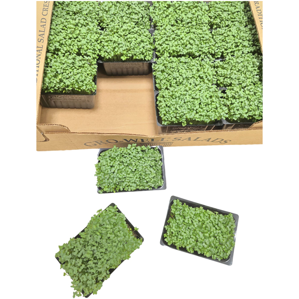 FRESH GARDEN CRESS BOX 9x60gm