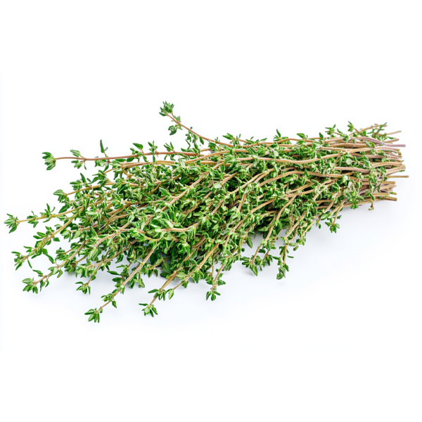 FRESH THYME 1x50gm