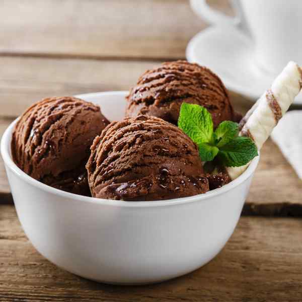 VEGAN CHOCOLATE ICE CREAM 1x5lt