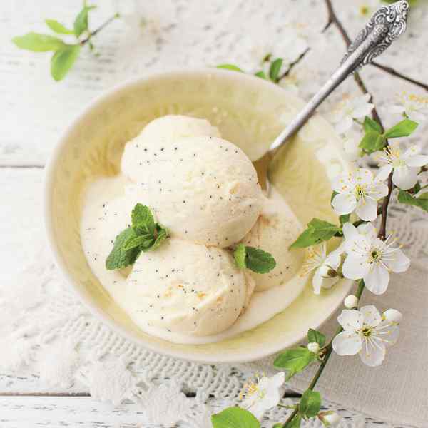 VEGAN VANILLA FLAVOUR ICE CREAM 1x5 lt