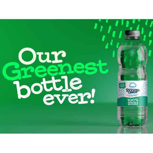 PRINCES GATE STILL MINERAL WATER PET 24x500ml