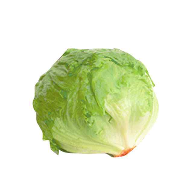 RETAIL WHOLE ICEBERG LETTUCE 1x EACH