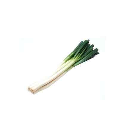 FRESH SPRING ONIONS 10 BUNCH 4.5kg