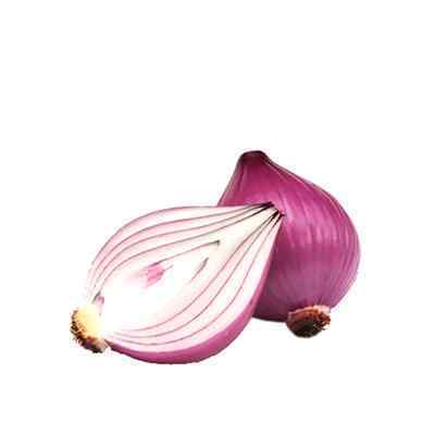 FRESH RED ONIONS 8-10kg (75-105mm)