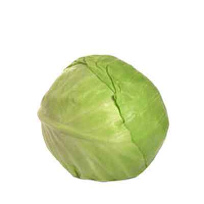 LARGE FRESH WHITE CABBAGE  25kg